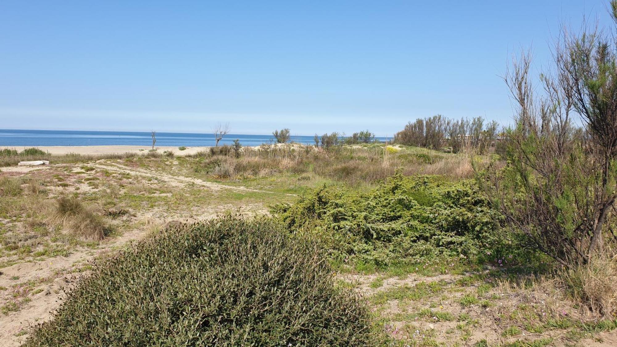 La Bouganville Пасоскуро Екстериор снимка